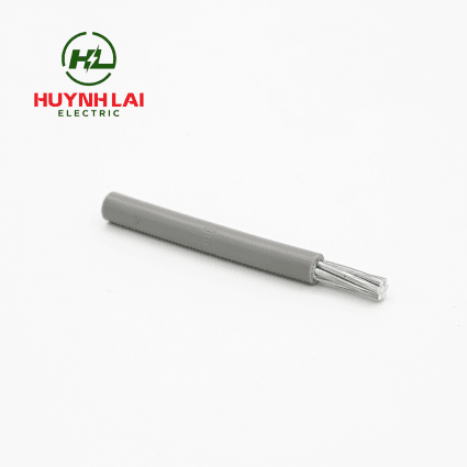 AV – Lion - ảnh phụ 1