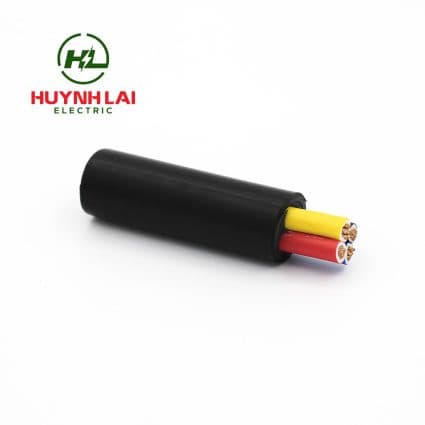 CVV – Lion - ảnh phụ 1