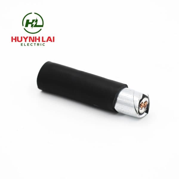 CVV/DATA – CVV/DSTA – Lion