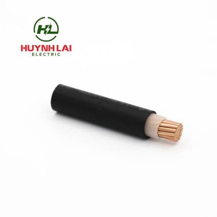 CXV – Lion - ảnh phụ 1