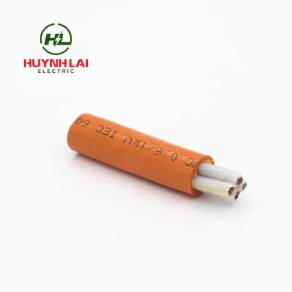 CXV/FR – Lion - ảnh phụ 1