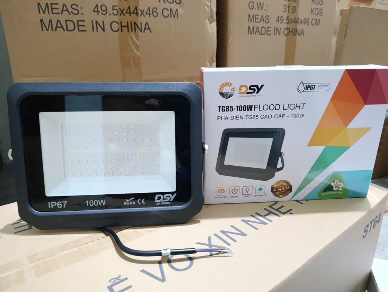 Đèn Pha Điện 100W DSY-TG128