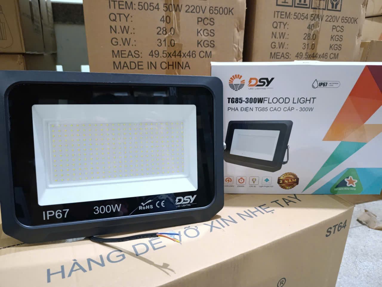 Đèn Pha Điện 300W DSY-TG128